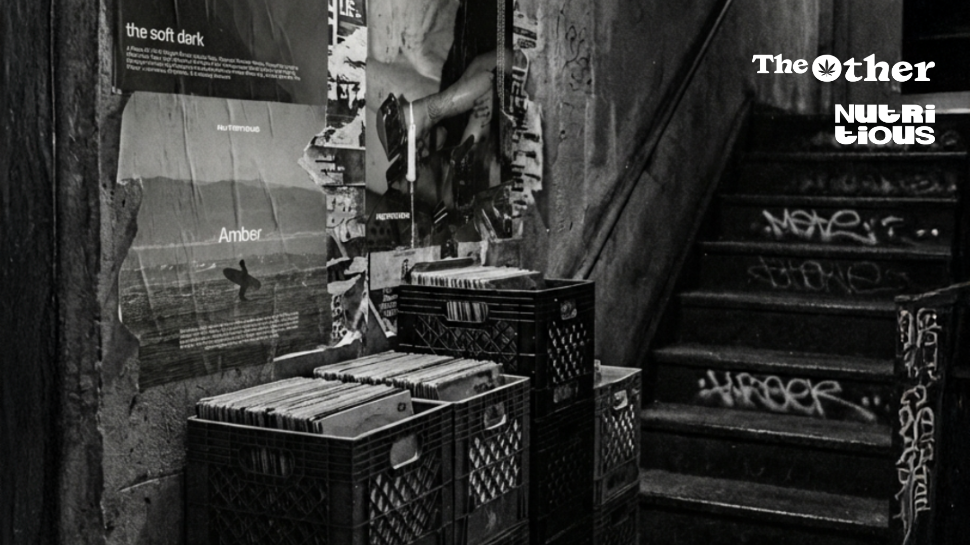 The Other Nutritious — hero